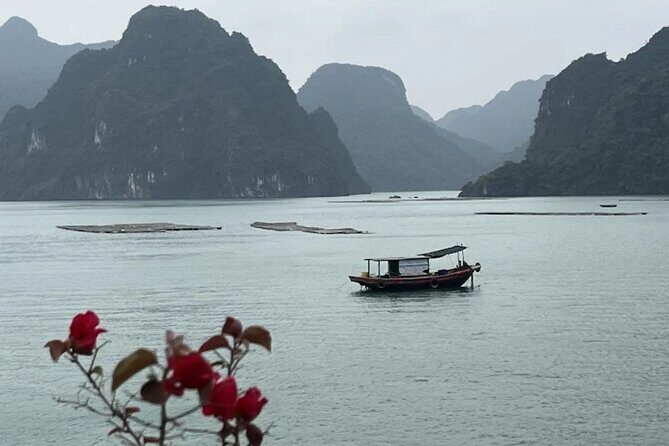8 Days Package Tour in Vietnam - Day 4 & 5: Transition to Da Nang & Ba Na Hills