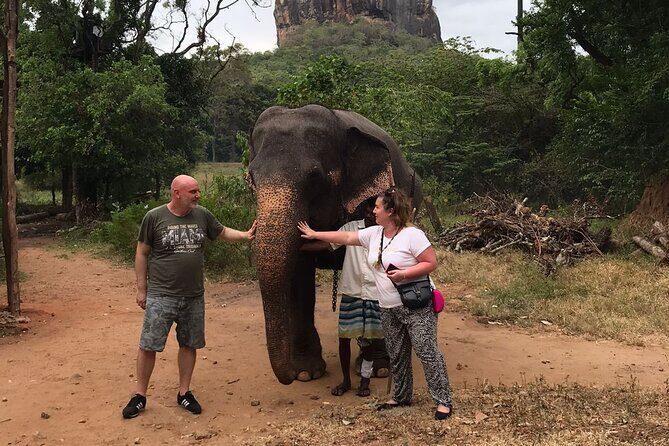 8 Days Private Guided Tour in Sri Lanka with accommodation (BB) - A Deep Dive into What Makes This Tour Stand Out