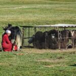 8 Days Private Tour at Lenin Peak Base Camp Trek - Who Is This Tour Best For?