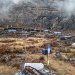 8 Days Tour in Langtang Valley Trek - Authentic Insights from Reviewers