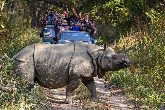 8 Days Tour in Nepal (4 Star Accommodation) - Why This Tour Offers Solid Value