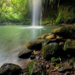 8 Hour Private Jungle Waterfall Tour from Maui - Exploring the Itinerary in Detail