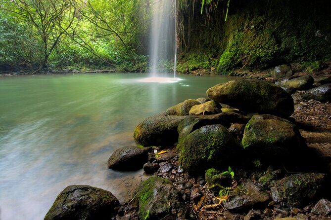 8 Hour Private Jungle Waterfall Tour from Maui - Exploring the Itinerary in Detail