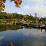 8-hour Tokyo tour by qualified tour guide using public transport - Final Thoughts
