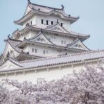 9-Day Japan and South Korea Highlight Tour - Transportation and Comfort