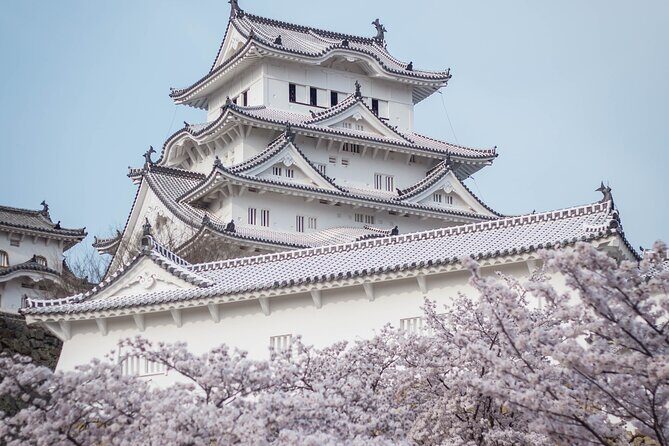 9-Day Japan and South Korea Highlight Tour - Transportation and Comfort