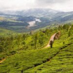 9 Days Private Exotic Kerala Tour - Why This Tour Offers Good Value