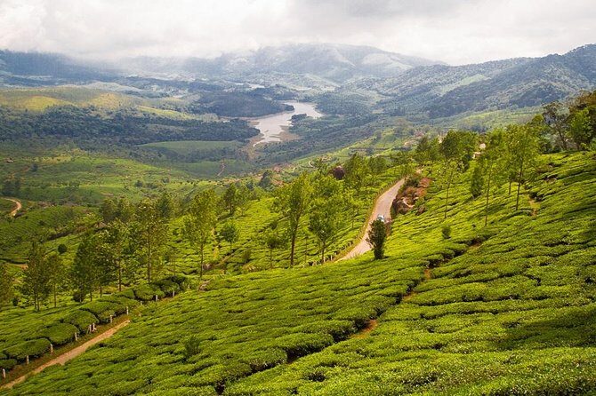 9 Days Private Exotic Kerala Tour - Why This Tour Offers Good Value