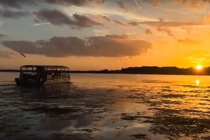 90 Minute Pontoon Cruise in Florida - The Review of the Experience