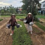 A Real Insight into Hoi An Village Island Experience & Hidden Gem - Practical Details and Value