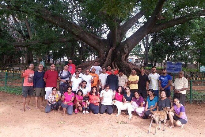 A Trail Through Parks Of Bangalore - Who Should Join This Tour?