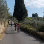 Active Full Day Tuscan Bike Tour With Wine Tasting and Lunch - The Farm Visit: Wine and Olive Oil Tasting