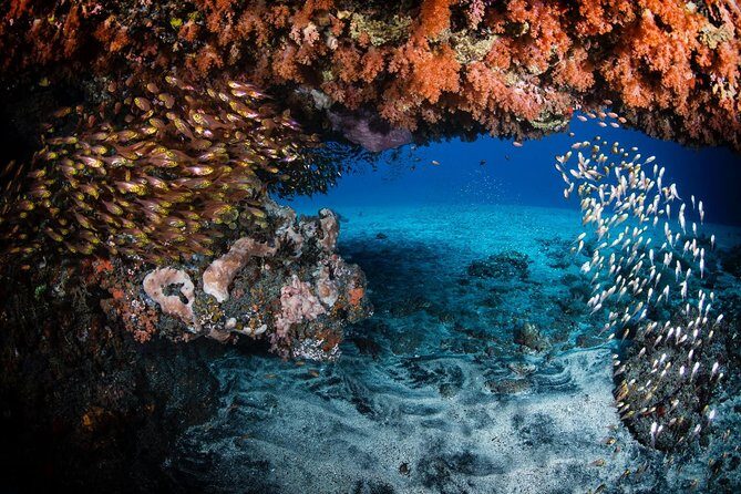 Advanced Open Water Course - Advanced Certification in Tulamben - FAQs