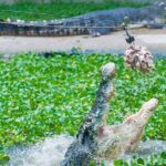 Adventure Combo - Practical Tips for Visitors