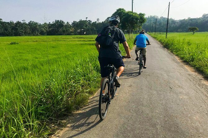 Adventure Cycling from Galle - Why This Tour Offers Great Value