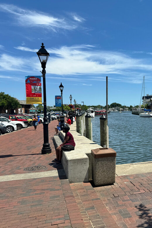 African American Tour Of Annapolis From Washington DC - The Value of the Experience