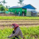 Afternoon Cooking Class & Village Tour in Siem Reap - The Itinerary Breakdown: What to Expect