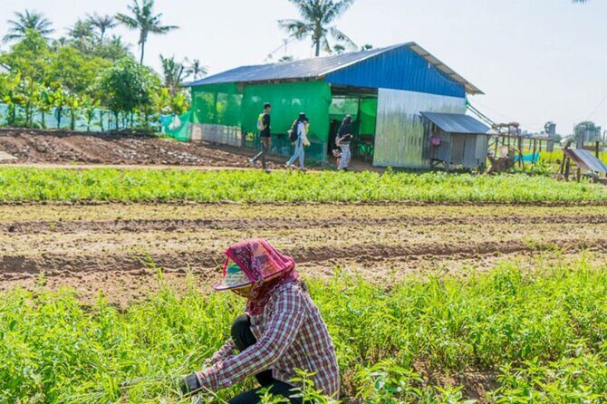Afternoon Cooking Class & Village Tour in Siem Reap - The Itinerary Breakdown: What to Expect