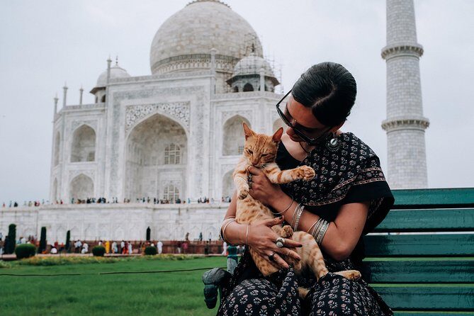 Agra Half-Day Tour of Taj Mahal and Agra Fort by Car - The Practicalities: What You Need to Know