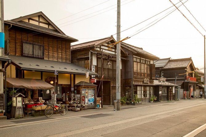 Aizu 6hr Private Tour with Government-Licensed Guide - Who Is This Tour Best For?