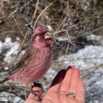 Ala Archa Nature Park Essential Tour - Why This Tour Offers Great Value