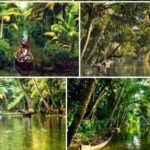Alasr Lakeview Cruise /Hourly Trips to Backwater of Alleppey - Who Should Consider This Tour?