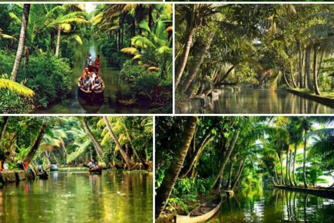Alasr Lakeview Cruise /Hourly Trips to Backwater of Alleppey - Who Should Consider This Tour?