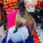 All-in Phi Phi, Maiton, MayaBay, Khai, Bamboo islands Tour - Practical Aspects: What to Expect and Tips