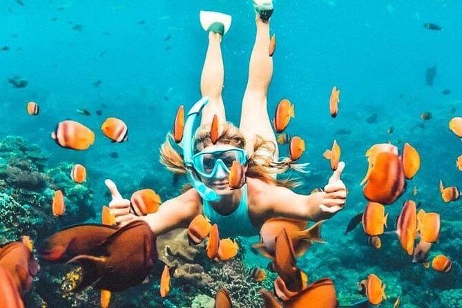 All Inclusive : Bali Blue Lagoon Snorkeling, Lunch, and Transport - What Makes This Tour Stand Out?