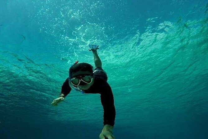 All Inclusive Bali Snorkeling Blue Lagoon tour experience - Who Will Love This Tour?