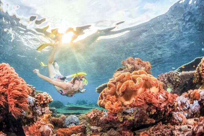 All inclusive: Blue lagoon Snorkeling & the Bats cave temple - Why This Tour Offers Great Value