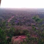 All inclusive Private day trip Sigiriya and Dambulla caves with more - What We Liked About This Tour