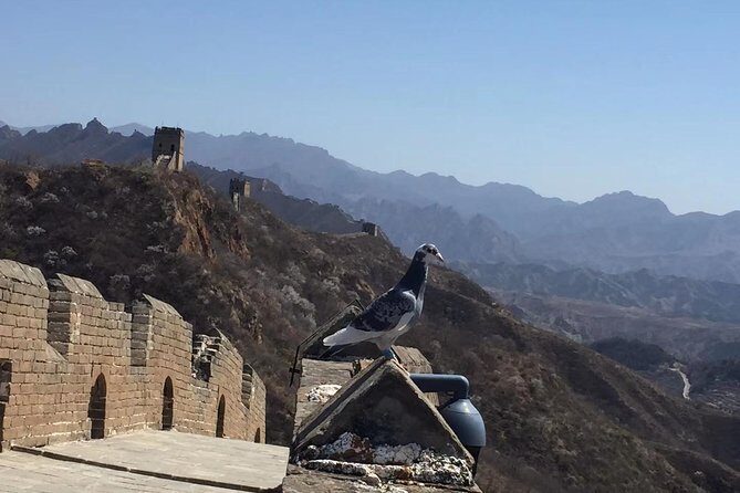 All-Inclusive Private Mutianyu Great Wall Day Tour with Dumpling Lunch - Why This Tour Offers Great Value