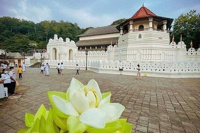 All-Inclusive Private tour in Sri Lankan Island 9 Day HB hotels - Exploring the Itinerary in Depth