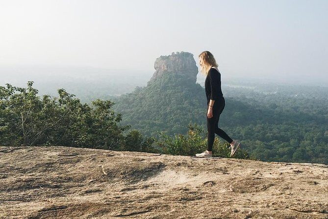All Inclusive Sigiriya & Dambulla Day Tour from Colombo & Negombo - What You Can Expect: Transportation and Guide Service