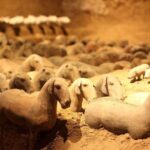 All inclusive Two-Day Xi'an private Heritage Tour - Transportation, Timing, and Comfort