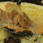 All inclusive Vegetarian Jaipur Food and Heritage Tour - The Sum Up