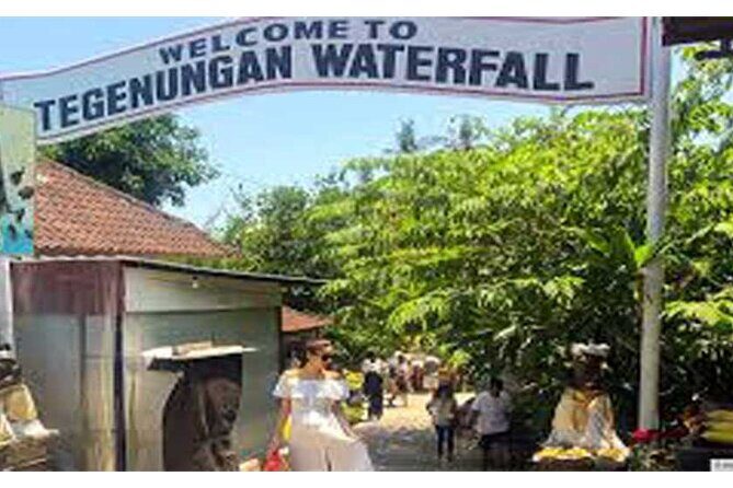 All Ticket Inclusive-Blue Lagoon Snorkeling-Ubud Monkey Forest & Ubud Waterfall - Final Thoughts