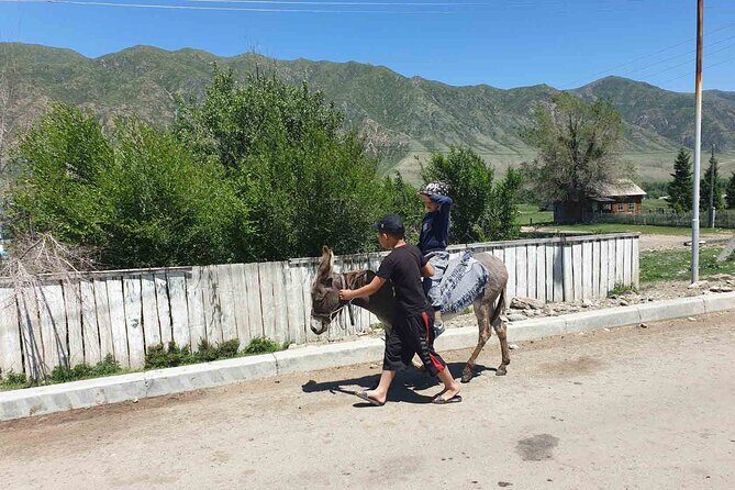 Almaty Region 3 Days Tour from Almaty - What Makes This Tour Stand Out?