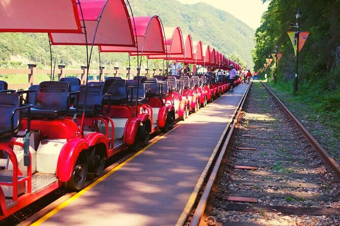 Alpaca World and Nami Island with Gangchon Rail Bike Tour - Practical Details and What to Expect