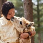 Alpaca World & Nami Island & Garden of Morning Calm One Day Tour - How the Day Unfolds: A Closer Look at the Itinerary