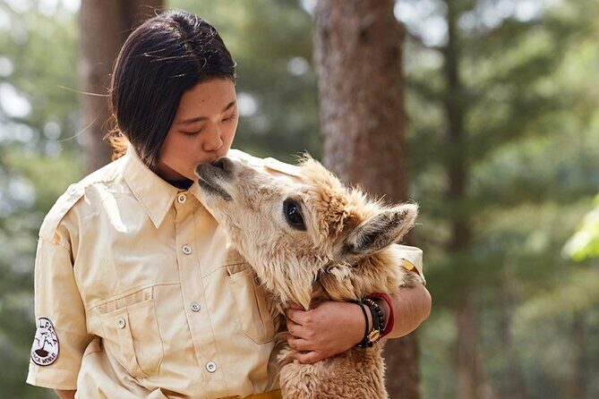 Alpaca World & Nami Island & Garden of Morning Calm One Day Tour - How the Day Unfolds: A Closer Look at the Itinerary