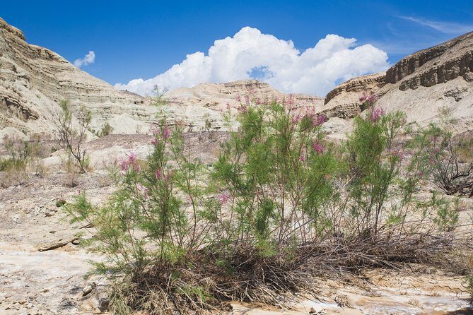 Altyn Emel. Singing dune and Aktau mountains 2 days tour - The Itinerary Breakdown