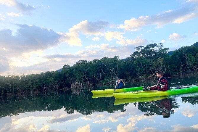 Amami Oshima Mangrove Kayaking, Waterfall and Cape Walking Tour - Practical Details & Value