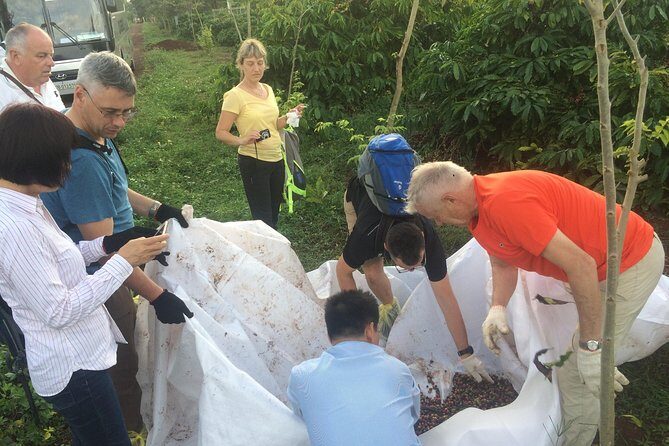 Amazing Coffee full-day tour in Buon Ma Thuot - Daklak - The Practicalities