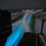 Amazing Fireflies With Blue Tears Watching & Kuala Selangor Tour - What the Reviews Tell Us: Authentic Insights
