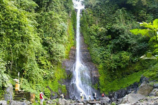 Amazing Private Tours: Dolphins Lovina and Gitgit Waterfall include Lunch - FAQ