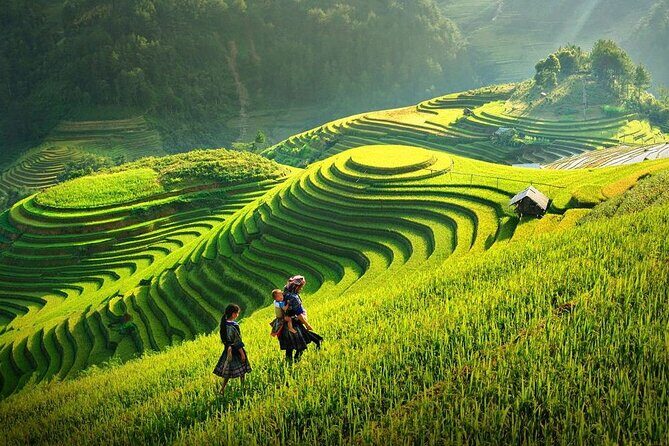 Amazing Sapa Fansipan Cable Car - Trekking: Fun, Majestic fr Sapa - Who Will Love This Tour?