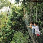 Amazing Taman Negara Day Trip from Kuala Lumpur Including Lunch - A Deep Dive into the Experience