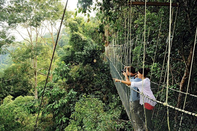 Amazing Taman Negara Day Trip from Kuala Lumpur Including Lunch - A Deep Dive into the Experience